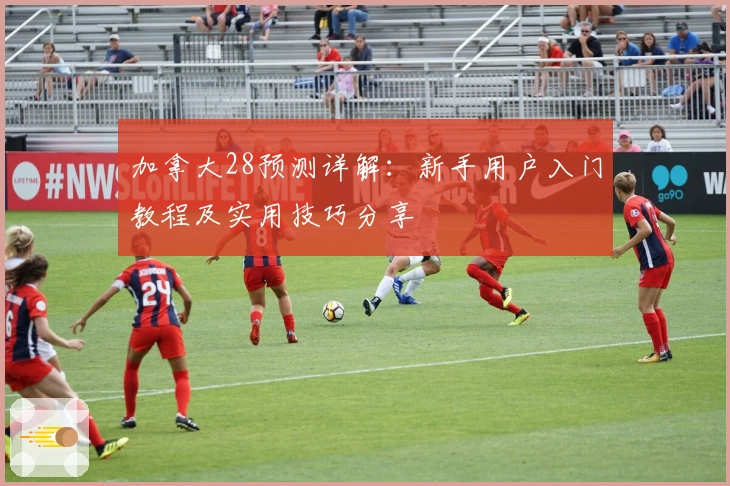 加拿大28预测详解：新手用户入门教程及实用技巧分享