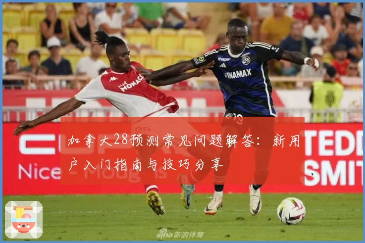 加拿大28预测常见问题解答：新用户入门指南与技巧分享