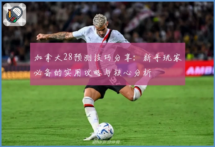 加拿大28预测技巧分享：新手玩家必备的实用攻略与核心分析