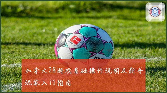 加拿大28游戏基础操作说明及新手玩家入门指南