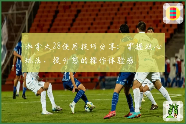 加拿大28使用技巧分享：掌握核心玩法，提升您的操作体验感