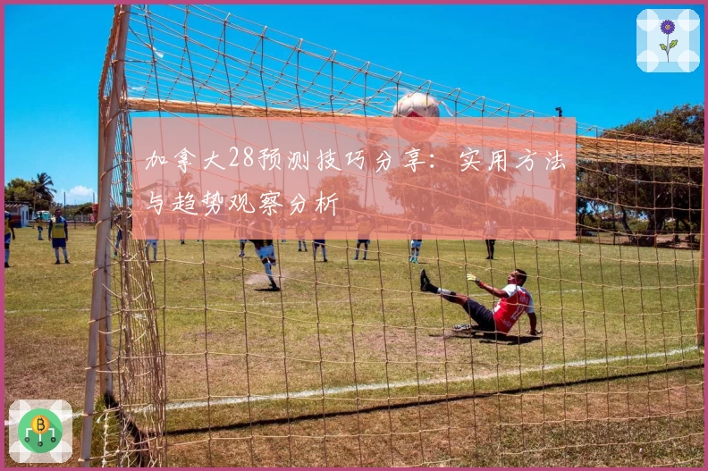 加拿大28预测技巧分享:实用方法与趋势观察分析
