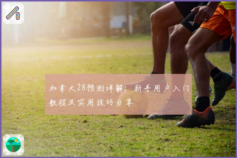 加拿大28预测详解：新手用户入门教程及实用技巧分享