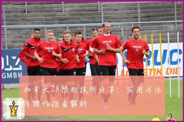 加拿大28预测技巧分享：实用方法与操作指南解析