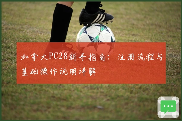 加拿大PC28新手指南：注册流程与基础操作说明详解