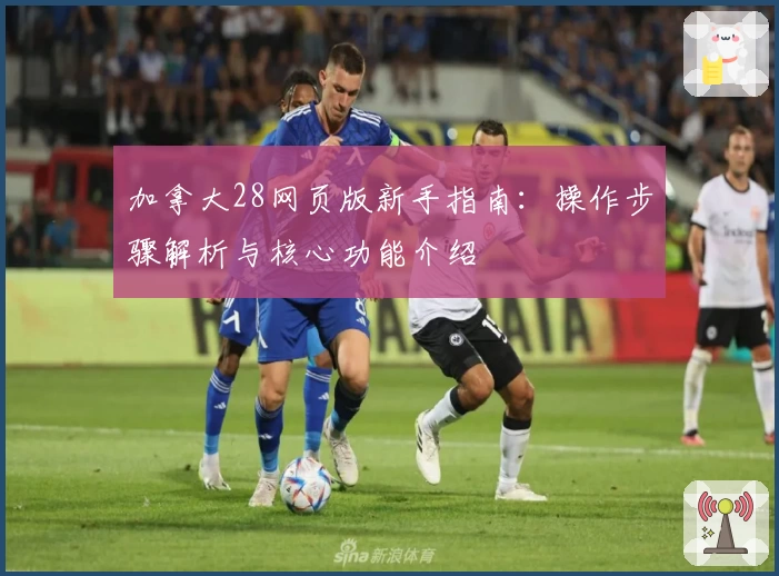 加拿大28网页版新手指南：操作步骤解析与核心功能介绍