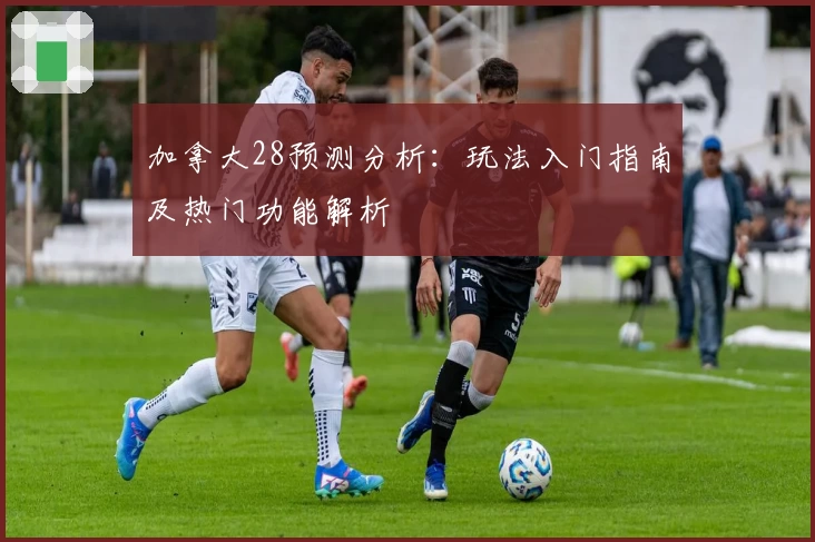 加拿大28预测分析：玩法入门指南及热门功能解析