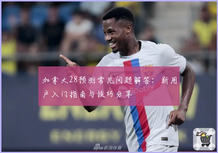 加拿大28预测常见问题解答：新用户入门指南与技巧分享