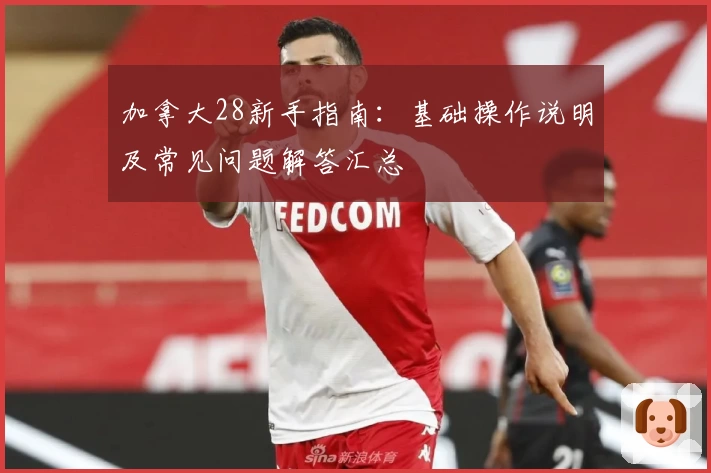 加拿大28新手指南：基础操作说明及常见问题解答汇总