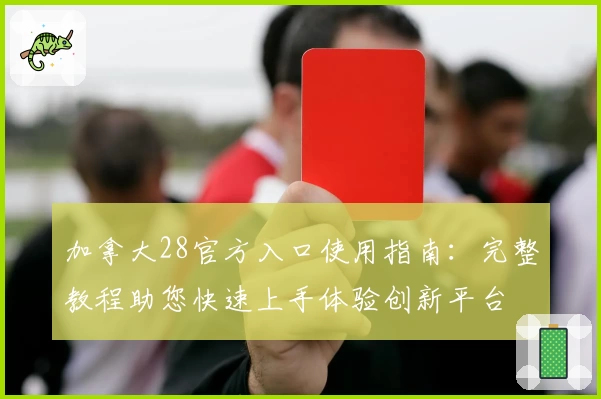 加拿大28官方入口使用指南：完整教程助您快速上手体验创新平台