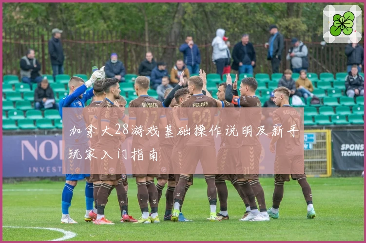 加拿大28游戏基础操作说明及新手玩家入门指南