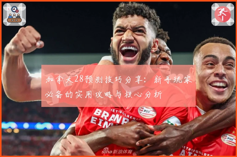 加拿大28预测技巧分享：新手玩家必备的实用攻略与核心分析