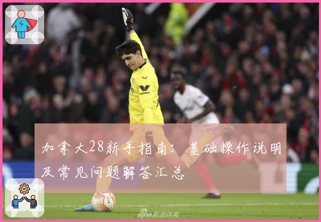 加拿大28新手指南：基础操作说明及常见问题解答汇总